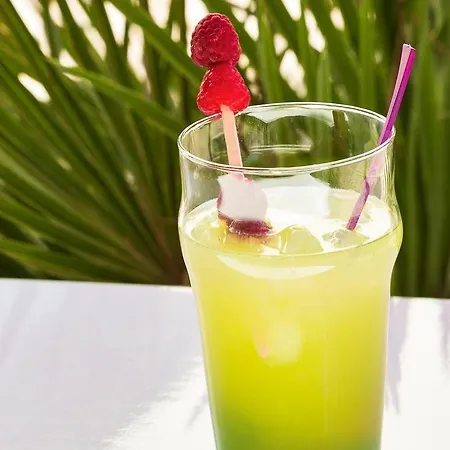 Ace Travel - A9 Montpellier Sud Hotel