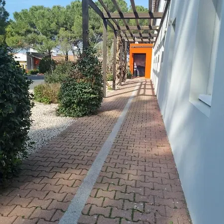 Ace Travel - A9 Montpellier Sud