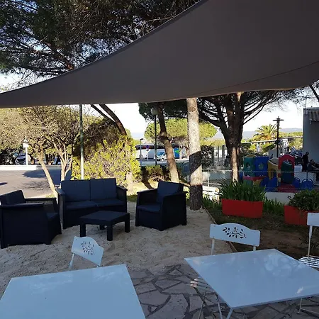 Ace Travel - A9 Montpellier Sud